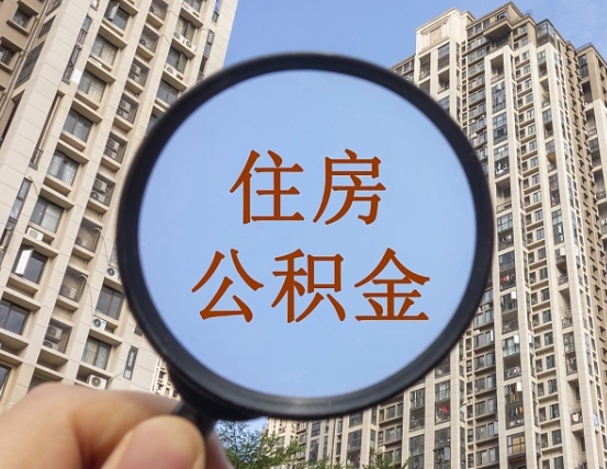 扶余公积金离职证明（扶余公积金离职证明范本）